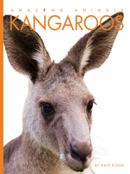 Title details for Kangaroos by Kate Riggs - Wait list